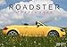 Roadster Sportwagen (Wandkalender 2017 DIN A3 quer): TT 8N - ein Modell in verschiedenen Lackierungen (Monatskalender, 14 Seiten) (CALVENDO Mobilitaet) by 