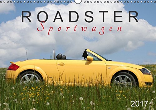 Roadster Sportwagen (Wandkalender 2017 DIN A3 quer): TT 8N - ein Modell in verschiedenen Lackierungen (Monatskalender, 14 Seiten) (CALVENDO Mobilitaet)