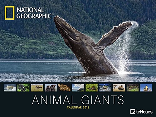 Preisvergleich Produktbild National Geographic Posterkalender Animal Giants 2018 - Tierkalender, Wandkalender, Naturkalender 2018 - 64 x 48 cm