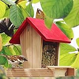 SOPORTE ESTACIONARIO: una pequeña barra de madera fija proporciona un lugar para que las aves se paren y coman.