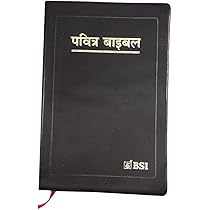 ビンテージ　HOLY BIBLE 聖書　2冊セット 51PKCXLsfkL._AC_UL210_SR210,