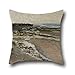 Produktbild Das Öl Gemälde Carl Fredrik Hill – Seashore bei luc-sur-mer Kissenbezüge von, 45,7 x 45,7 cm/45 von 45 cm Dekoration, Geschenk für Couch, Verwandte, Club, Wohnzimmer, Küche, Frau (doppelte Seiten)