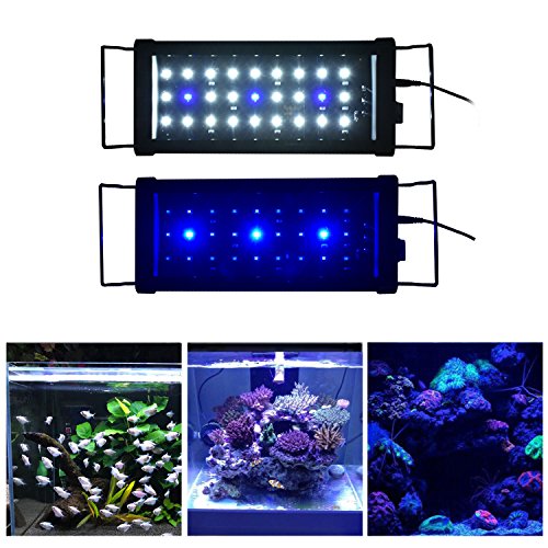 6ft aquarium light