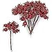 Produktbild Othmar Trading Beerenpick Hagebutten künstlich Rot 18 mm 6 Bunde Beeren künstlich