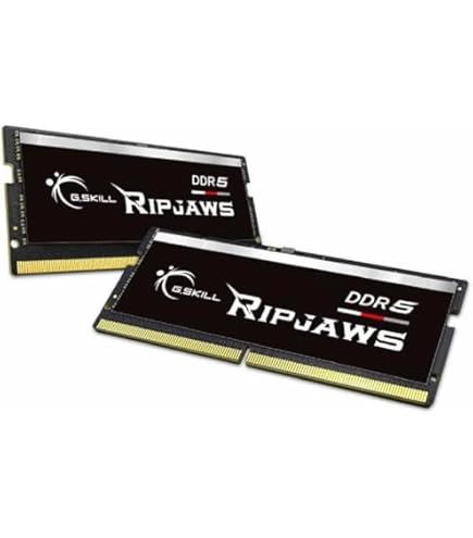G.SKILL Ripjaws DDR5 SO-DIMM Series DDR5 RAM 16GB (1x16GB) 4800MT