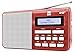 Produktbild Dual DAB 4.1 T Tragbares Digitalradio (UKW/DAB(+)-Tuner, Sendersuchlauffunktion, Festspeichertasten, Kopfhöreranschluss (3,5 mm), LCD-Display) Rot