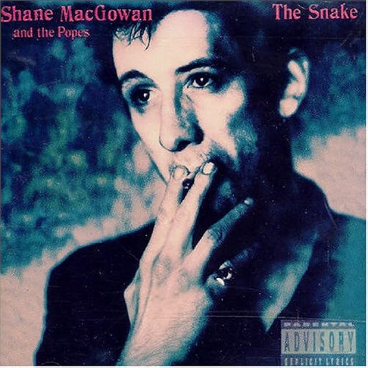 Shane MacGowan ザ・スネイク + クラック・オブ・ゴールド 2CD Shane MacGowan ザ・スネイク + クラック・オブ・ゴールド 2CD Shane