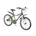 Produktbild Kinderfahrrad Kawasaki Nijumo 20 Zoll KBX grün