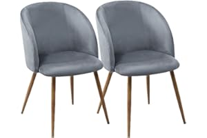 buybyroom 2 Sedie da Pranzo in Velluto con Schienale per Cucina,Sala da Pranzo,Soggiorno,Camera da Letto,Colore Gray