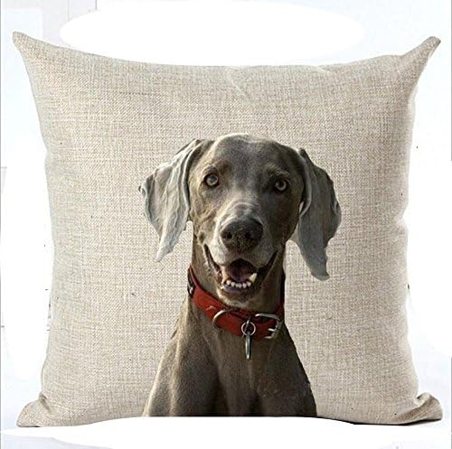 Family Pet Cute lovely Black Weimaraner Dog Linen Throw Pillow Case Cushion Cover Home Sofa balcony Decorative 18 X 18 Inch (1) (3)