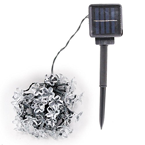 Kyson 50er LED Solar Lichterkette Blumen Garten Außen Lila 5 Meter, Solar Blüten Beleuchtung für Party, Weihnachten, Outdoor, Fest Deko usw. - 6