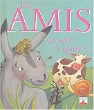 Les amis ça sert à quoi ?