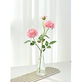 BakGelAl Polka Transparent Simple Glass Vase &ndash; Stylish Selection for Spacious Places with Minimalist Design, Mother's Day Gift
