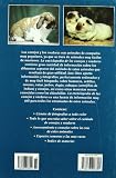 Image de La Enciclopedia de los Conejos y Roedores (Pequeñas Enciclopedias)