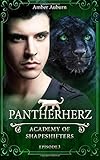 Cover zum Buch Pantherherz