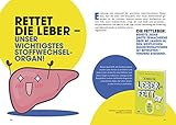 Image de So kriegt die Leber ihr Fett weg!: 10 Schritte aus der Fettleber-Falle