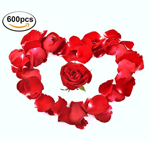 Valentinstag Rosenblüten, Künstliche Rosen, Blumenblätter / Rosenblätter aus Seide Fühlen, Rot, Blumen, Romantisch - 6