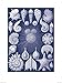 Produktbild 1art1 108793 Muscheln - Coastal Nature I, Piddix Poster Kunstdruck 80 x 60 cm