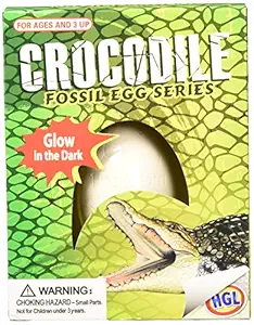 Pocket Money Crocodile Fossil Egg