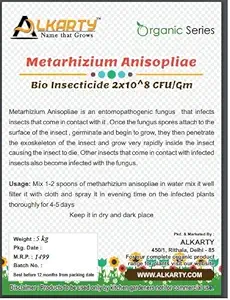 Metarhizium Anisopliae Bio Insecticide, 5 kg for Horticulture