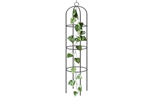 ComfyNex Garden Arch Black Metal - Steel Frame Arches for Climbing Plants, Vegetables, Roses, Indoor/Outdoor, Christmas and Wedding Decorations Archway (1, Black Garden Obelisk)