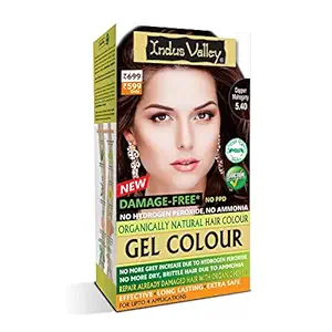 INDUS VALLEY Organically Natural Damage Free Gel Colour For Hair, 220g - Copper Mahogany