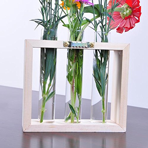 MagiDeal Kristall Reagenzglas Glas Vase In Holzständer Wand Hängen Für Blumen Pflanzen - 7