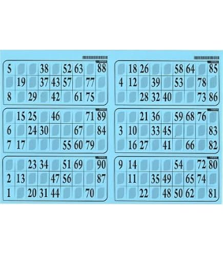 Plaque De Loto 6 Grilles 29x20 Cm – Carton Rigide 1 Mm, Usage Fréquent, Coloris Lilas – Tous Les 90 Numéros, Pas De Grille Identique
