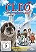 Cleo und die Schneeballschlacht