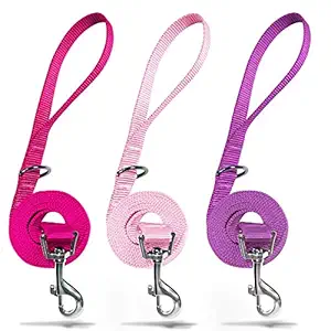 azuza 3 Pack Nylon Dog Leashes,Strong & Durable Basic Style Leash with Easy to Use Collar Hook,Available in Multiple Lengths for Puppy Small Medium and Large Dogs, Hot Pink/ Pink/Purple