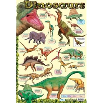 Dinosaur Evolution Educational Science Chart Poster 36 x 24in by Poster ...