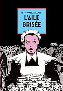 jaquette livre L'aile brisée