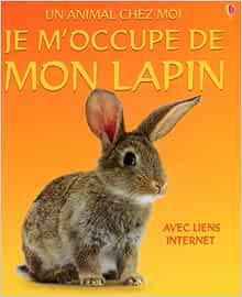 Je M Occupe De Mon Lapin Patchett Fiona Amazon Fr Livres Je M Occupe De Mon Lapin Patchett Fiona Amazon Fr Livres