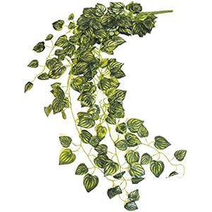 Namiba Terra 5915 Gelb gestreifte Philoranke, Seide, circa 85-90 cm