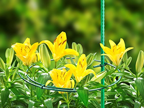 Connex Staudenhalter Kunststoff 25-40 cm 3 Stück, FLOR78440 - 3