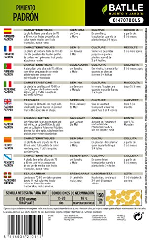 Batlle Gemüsesamen – Chili Paprika – Pimiento Padrón (255 Samen) - 2