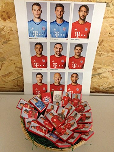 Preisvergleich Produktbild FC Bayern München Weihnachtsnest / Nikolausnest / Osternest / Frühlingsnest mit 25 Schokoladentäfelchen á 7,5g und 27 Autogrammkarten (6,88€ / 100g)