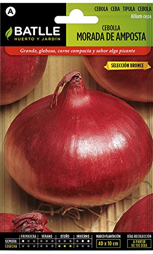 Semillas Hortícolas - Cebolla Morada de Amposta sel. Bronce - Batlle