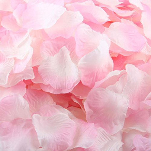 Bluestercool 1000 PC-Silk künstliche Rosenblätter Blumen-Hochzeit Favor Brautparty -Aisle Confetti Vase Dekor (Rosa 2)