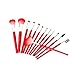 Fash Professional makeup nylon Brush Set, 13pc, For Eye Shadow, Blush, Eyeliner, eyebrow