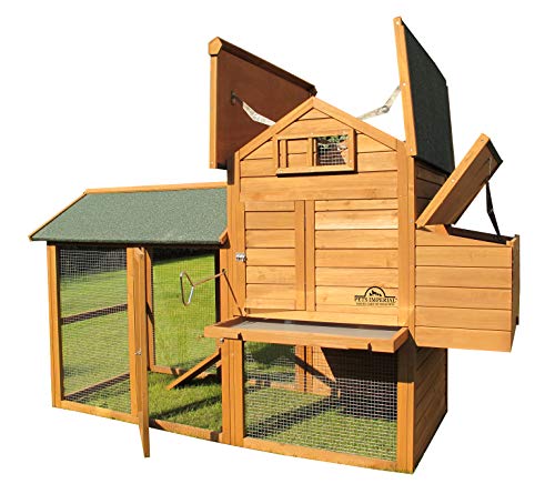 Pets Imperial Large Kingsbourne Chicken Coop Suitable For Up To 5 Birds Depending On Size D