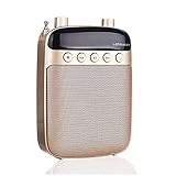Deje de forzar su voz con este amplificador de voz portátil y fácil de usar.