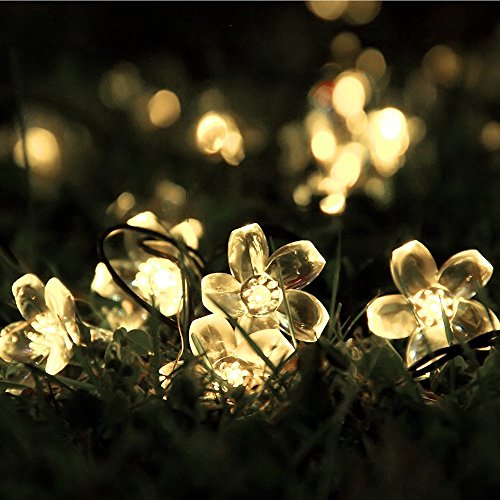 Solar Lichterkette, InnooTech LED Solar Blumen Lichterkette 5 Meter 50er Warmweiß, Außerlichterkette Deko mit 2 M Zuleitungskabel für Garten, Hochzeit, Party usw … - 2