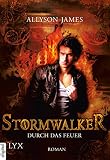 Image de Stormwalker - Durch das Feuer (Stormwalker-Reihe 2)