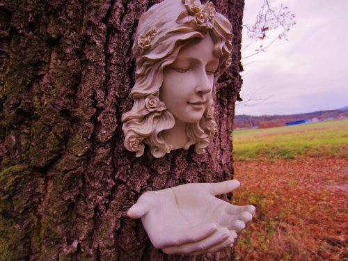 Vogelfutterstelle Waldelfe, zwei-teilig - 7