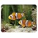 Produktbild Power Star tapis-nemo – Mauspad, mehrfarbig