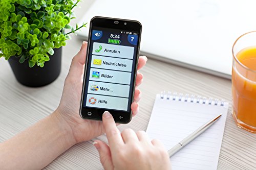 Amplicom PowerTel M9500 Dual SIM 4G Graphite - Smartphones (12.7 cm (5