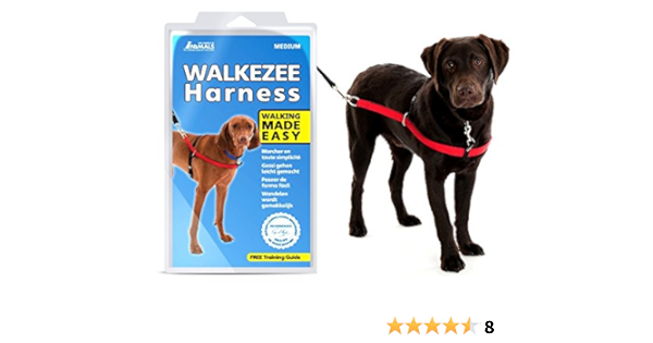 company of animals non pull harness