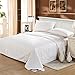 LilySilk Washable Cotton Covered Silk Duvet
