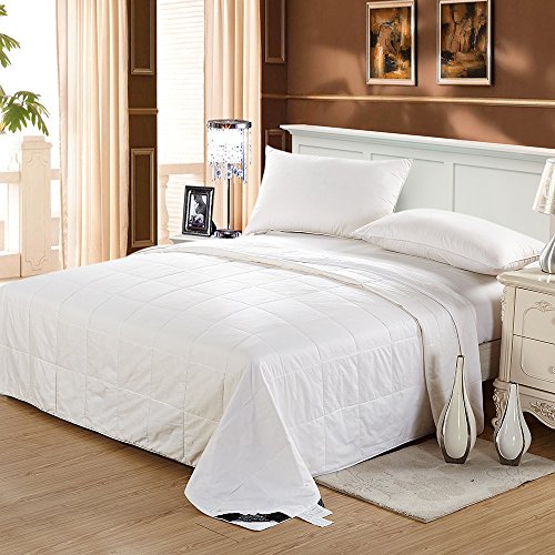 LilySilk Washable Cotton Covered Silk Duvet